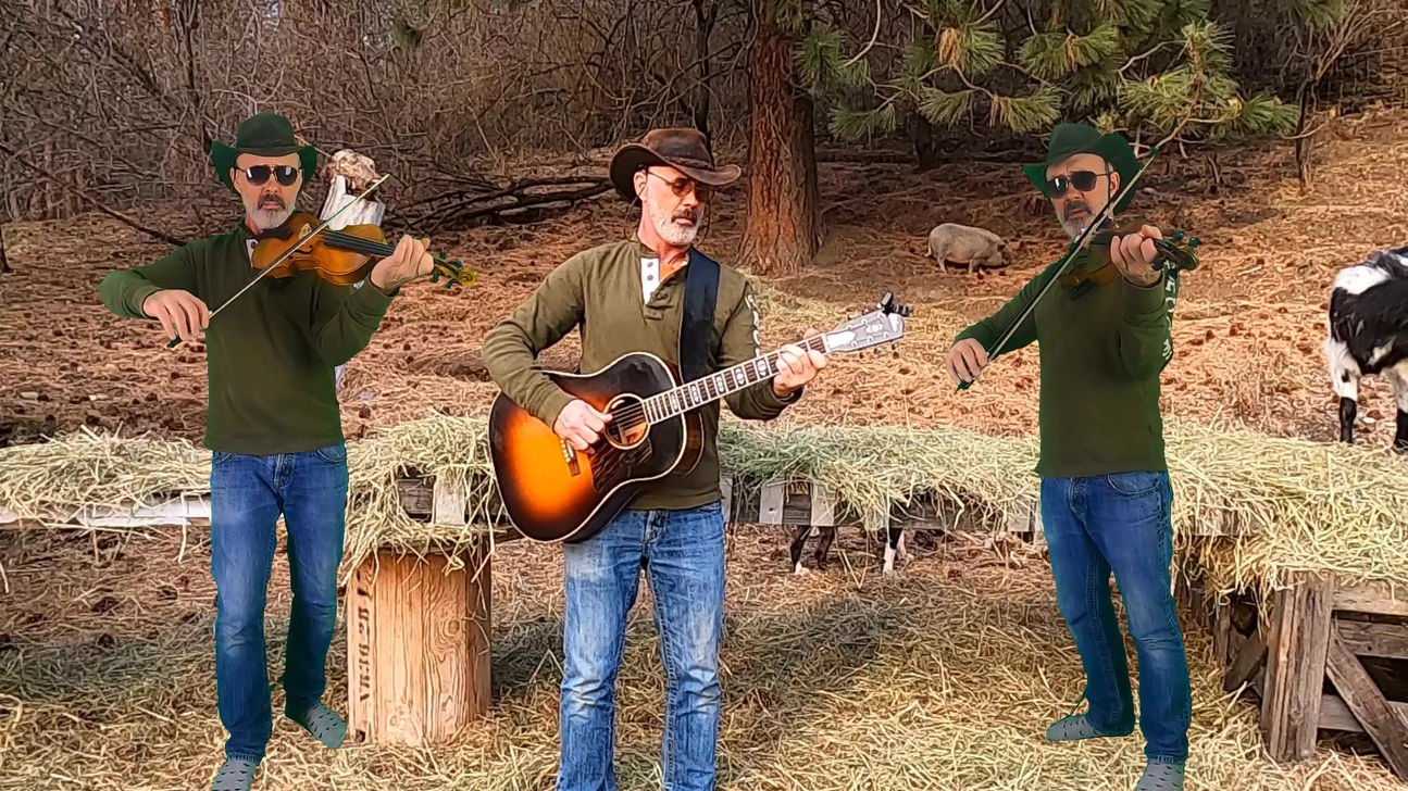 Lento non troppo e grazioso